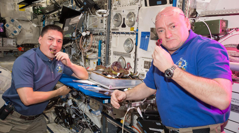 Astronauts Scott Kelly and Kjell Lindgren taste the lettuce grown onboard the ISS in August 2014 CREDIT NASA