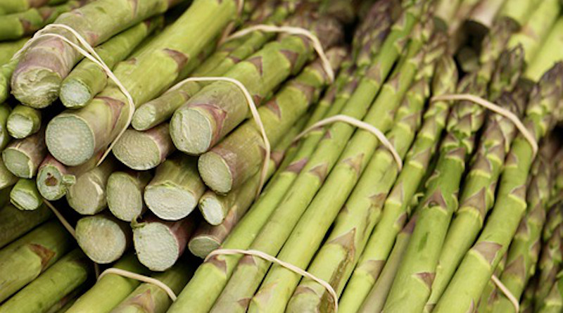 Asparagus Green Asparagus Green Vegetable