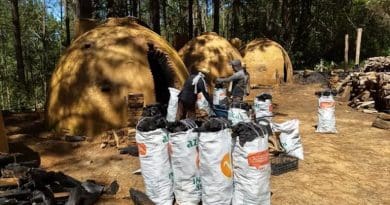 Two women fill sacks of charcoal made in mud igloos in the small town of San Juan Evangelista Analco in the mountains of the state of Oaxaca in southwestern Mexico. A group of women from this Zapotec indigenous village created a charcoal company in 2017, to take advantage of the wood that the community logs sustainably. CREDIT: Emilio Godoy/IPS