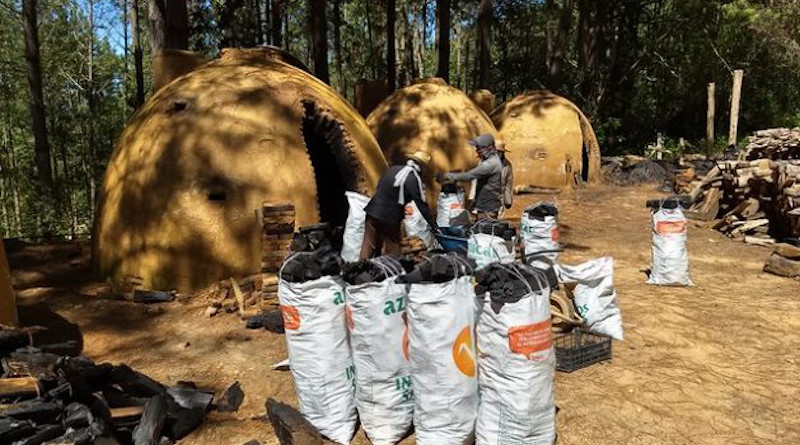 Two women fill sacks of charcoal made in mud igloos in the small town of San Juan Evangelista Analco in the mountains of the state of Oaxaca in southwestern Mexico. A group of women from this Zapotec indigenous village created a charcoal company in 2017, to take advantage of the wood that the community logs sustainably. CREDIT: Emilio Godoy/IPS