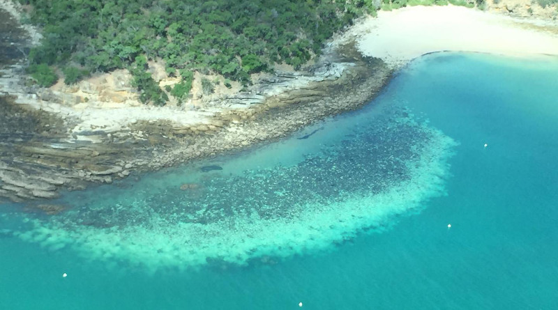 Bleached reef at Kepples, QLD, Australia in March 2020. CREDIT ARC Centre of Excellence for Coral Reef Studies