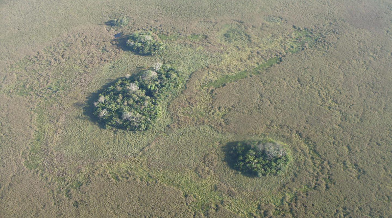 Forest islands seen from above (photo Umberto Lombardo). CREDIT Umberto Lombardo