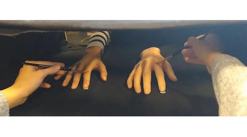 A demonstration of the Rubber Hand Illusion. CREDIT University of Sussex