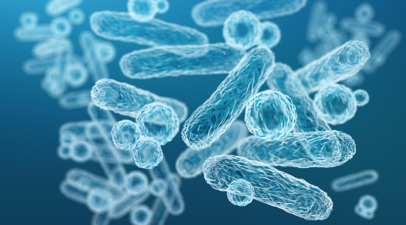 New bacterial growth technique offers path for biomanufacturing pharmaceuticals during space flights. CREDIT Rensselaer Polytechnic Institute
