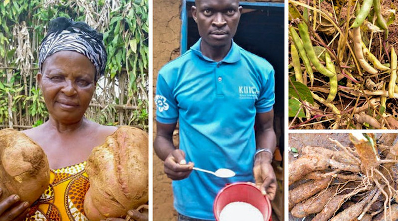 In the province of South Kivu, Bahai’s in the village of Canjavu are rallying the entire population to action while maintaining safety measures put in place by the government. Photo Credit: BWNS