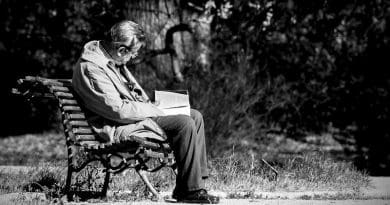Man Reading Book Spain Solo Reader Old Park Old Sitting In The Park