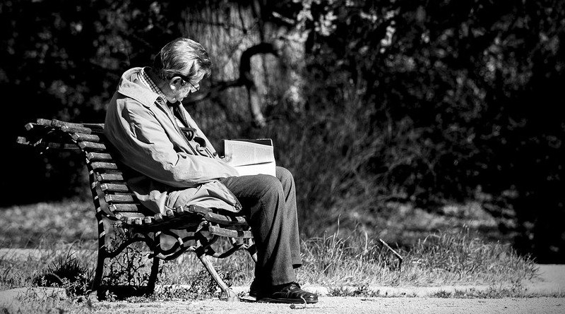 Man Reading Book Spain Solo Reader Old Park Old Sitting In The Park