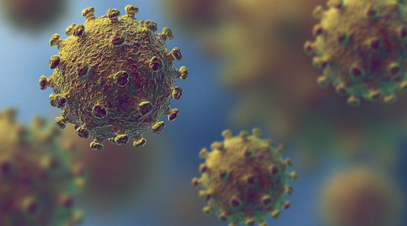 Halden's technique boasts high sensitivity, with the potential to detect the signature of a single infected individual among 100 to 2 million persons. To accomplish this, wastewater samples are screened for the presence of nucleic acid fragments of the SARS-CoV-2 virus. The RNA genomes are amplified through a process known as reverse-transcriptase quantitative PCR (RT qPCR). CREDIT Shireen Dooling