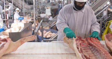Workers in an American hog slaughtering and processing plant. Photo Credit: U.S. Government Accountability Office, Wikipedia Commons