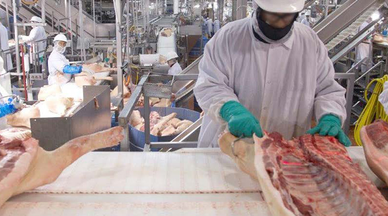 Workers in an American hog slaughtering and processing plant. Photo Credit: U.S. Government Accountability Office, Wikipedia Commons