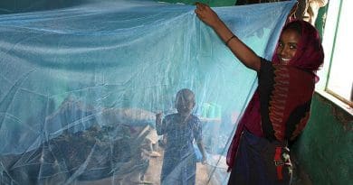 An Ethiopian mother with a long lasting insecticide-treated mosquito net. Photo Credit: Ethiopia's President's Malaria Initiative