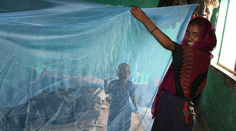 An Ethiopian mother with a long lasting insecticide-treated mosquito net. Photo Credit: Ethiopia's President's Malaria Initiative