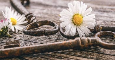 Mother Day Daisy White Key Antique Mood Love Symbols