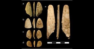 Evidence continues to mount that the Neandertals, who lived in Europe and Asia until about 40,000 years ago, were more sophisticated people than once thought. A new study from UC Davis shows that Neandertals chose to use bones from specific animals to make a tool for specific purpose: working hides into leather. CREDIT: Naomi Martisius, UC Davis