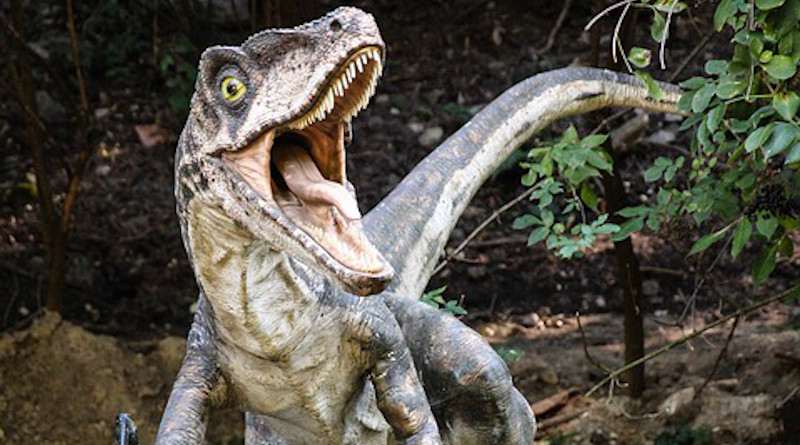 Dinosaur Velociraptor Dinopark Lizard