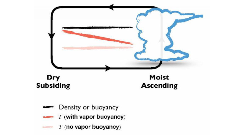 This graphic illustrates the vapor buoyancy effect, in which cold, humid air rises because it is lighter than dry air. CREDIT Da Yang/UC Davis