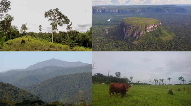 Colombian landscapes included in the study. CREDIT Pablo Negret