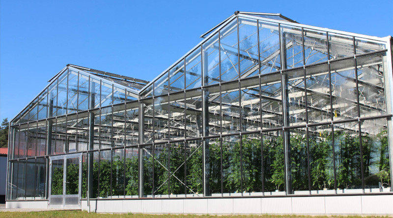 Greenhouse of the aquaponics facility of the "Müritzfischer" in Waren, Germany. | Photo: Hendrik Monsees, IGB