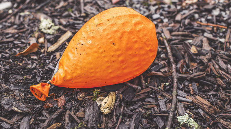 Deflate Deflation Orange Balloon Deflated Ground Sticks