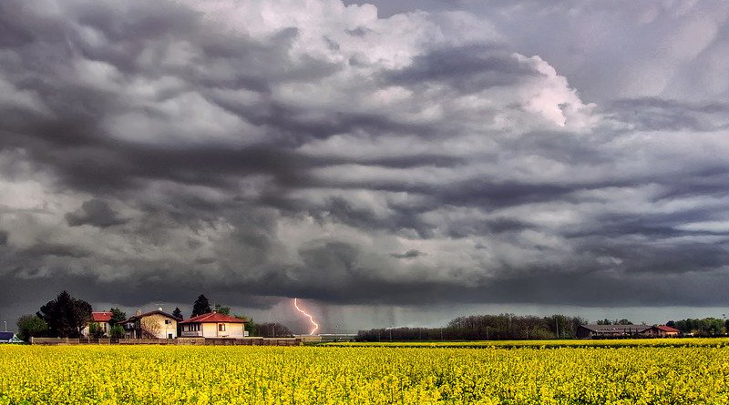 Storm Rain Weather Agriculture Farm Flowers