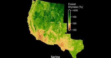 Maps display the amount of water in plants relative to dry biomass across the American West. CREDIT: Krishna Rao