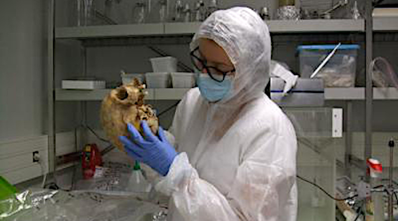 Samantha Brunel examining a skull in Institut Jacques Monod 's high containment laboratory (CNRS/Université de Paris) CREDIT: © Eva-Maria Geigl et Thierry Grange, Institut Jacques Monod (CNRS/Université de Paris)