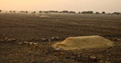 Piles of processed wheat sit on cultivated farmland waiting to be packaged in Nawa, Helmand province, Afghanistan. Photo Credit: Cpl. Marco Mancha, II Marine Expeditionary Force.