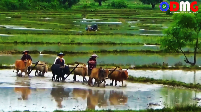 Farmers in Arakan State, Myanmar. Photo Credit: DMG