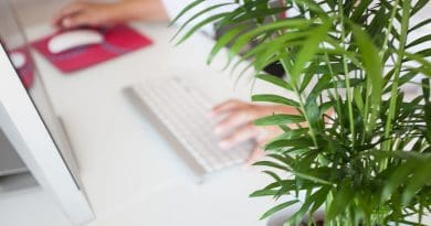 Online Telework Office Entrepreneurs Plants Secretary