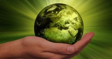 Sustainability Energy Globe Renewable Earth World