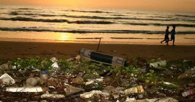 Plastic Ocean Trash Beach Pollution Conservation Sunrise