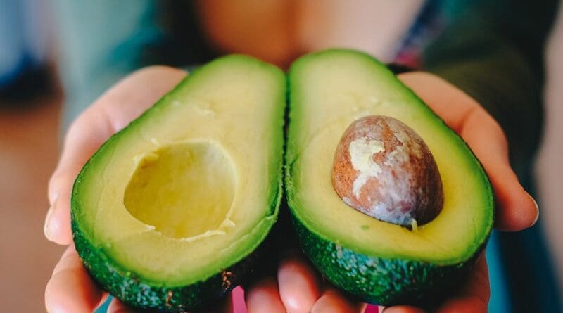 Avocado Vegetable Food Healthy Vegetarian Green