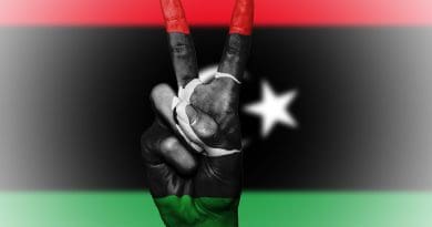 Flag Libya Peace Hand Nation Background Banner Colors