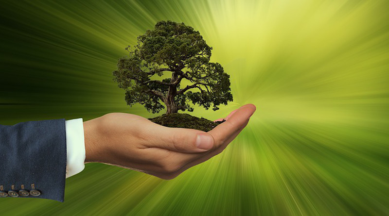 Sustainability Hand Keep Tree Energy Globe