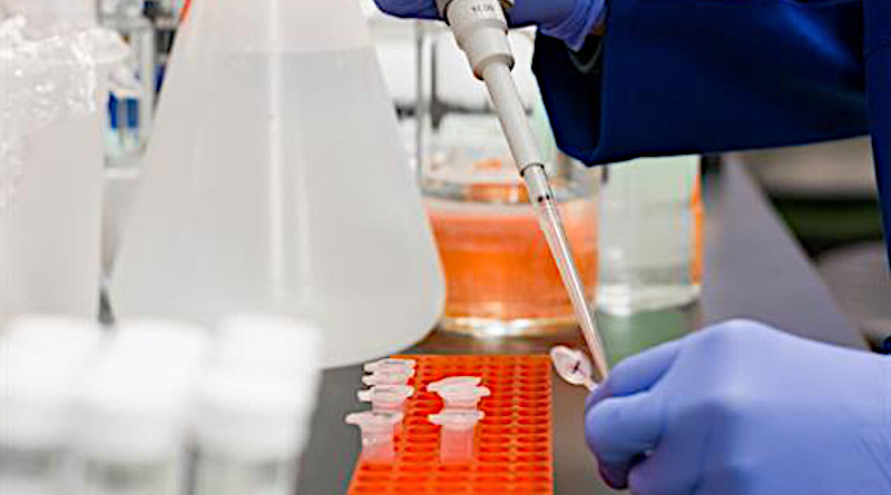 laboratory testing dna coronavirus research