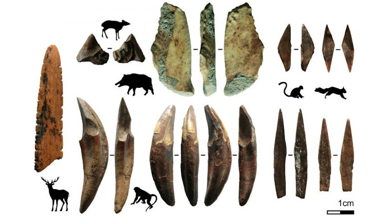 Fa-Hien Lena has emerged as one of South Asia's most important archaeological sites since the 1980s, preserving remains of our species, their tools, and their prey in a tropical context. CREDIT: Langley et al., 2020