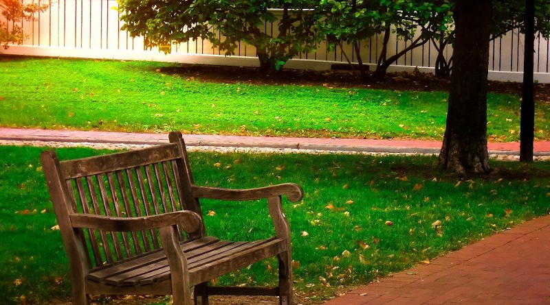 Bench Wooden Park Bench Park Outdoor Lawn Grass