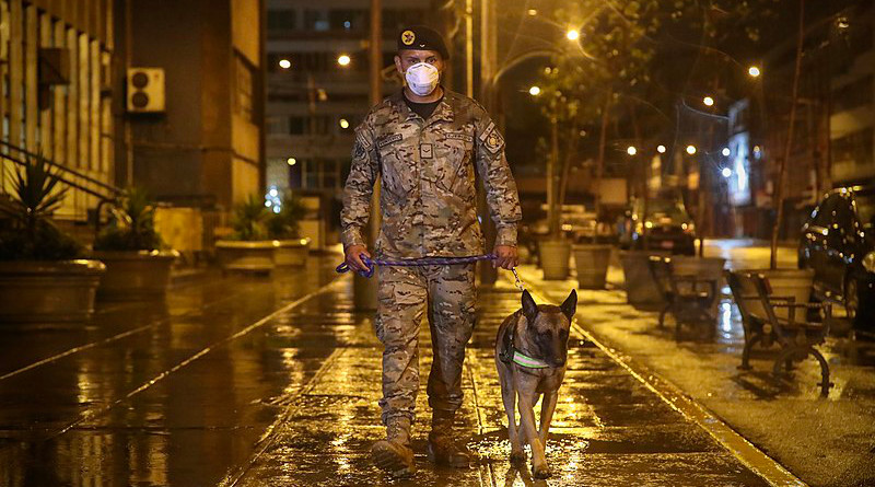 A member of the Peruvian Army with a police dog enforces curfew during coronavirus pandemic. Photo Credit: Ministerio de Defensa del Perú