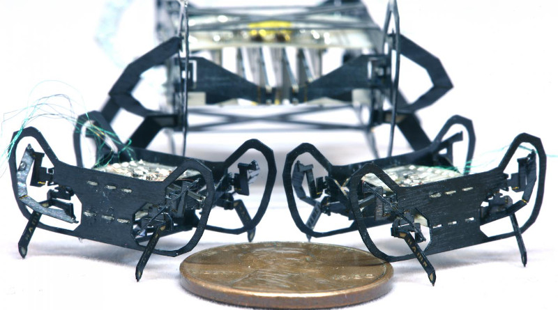 The newly designed HAMR-Jr alongside its predecessor, HAMR-VI. HAMR-Jr is only slightly bigger in length and width than a penny, making it one of the smallest yet highly capable, high-speed insect-scale robots. CREDIT: (Image courtesy of Kaushik Jayaram/Harvard SEAS)