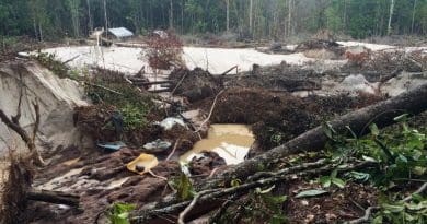 Initial forest loss at a gold mining site at Mahdia, Guyana 2016. CREDIT: Michelle Kalamandeen 2016