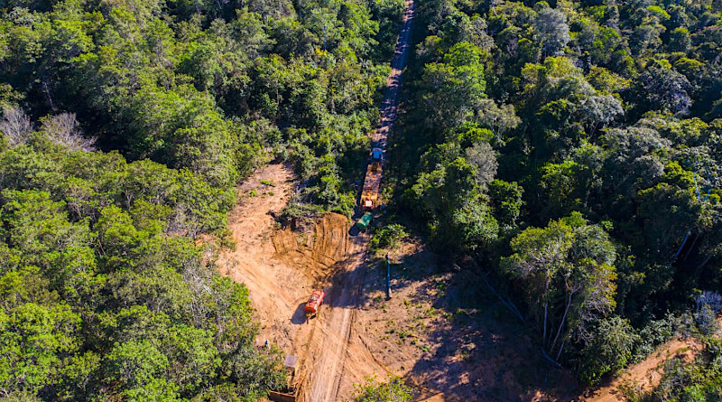 Illegal logging in progress outside Wawi Indigenous Territory in Brazil's Amazon. Image by Kamikia Kisedje, Rede Xingu+.