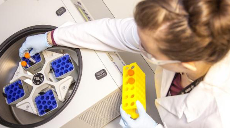 Samples being placed into a centrifuge to separate sample components. CREDIT: Swansea University