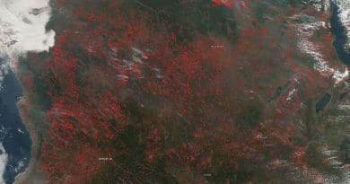Fires have spread across the majority of the landscape in Angola and the Democratic Republic of the Congo in this NOAA/NASA Suomi NPP satellite image using the VIIRS (Visible Infrared Imaging Radiometer Suite) instrument from June 25, 2020. CREDIT NASA image courtesy Worldview Earth Data operated by the NASA/Goddard Space Flight Center Earth Science Data and Information System (EOSDIS) project. Caption by Lynn Jenner with information from Global Forest Watch.