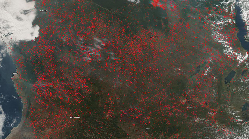 Fires have spread across the majority of the landscape in Angola and the Democratic Republic of the Congo in this NOAA/NASA Suomi NPP satellite image using the VIIRS (Visible Infrared Imaging Radiometer Suite) instrument from June 25, 2020. CREDIT NASA image courtesy Worldview Earth Data operated by the NASA/Goddard Space Flight Center Earth Science Data and Information System (EOSDIS) project. Caption by Lynn Jenner with information from Global Forest Watch.