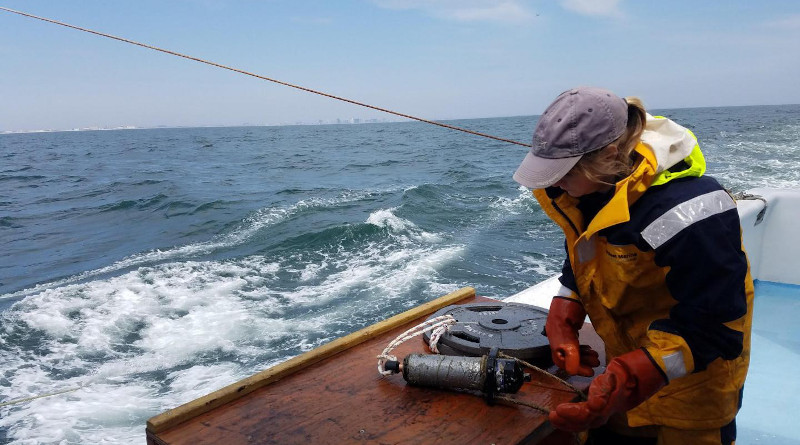 Researcher Ellie Rothermel configures an acoustic receiver off coast of Ocean City, Maryland, to monitor to the movement of Atlantic sturgeon and striped bass off the Delmarva coastline. CREDIT: University of Maryland Center for Environmental Science/Mike O'Brien