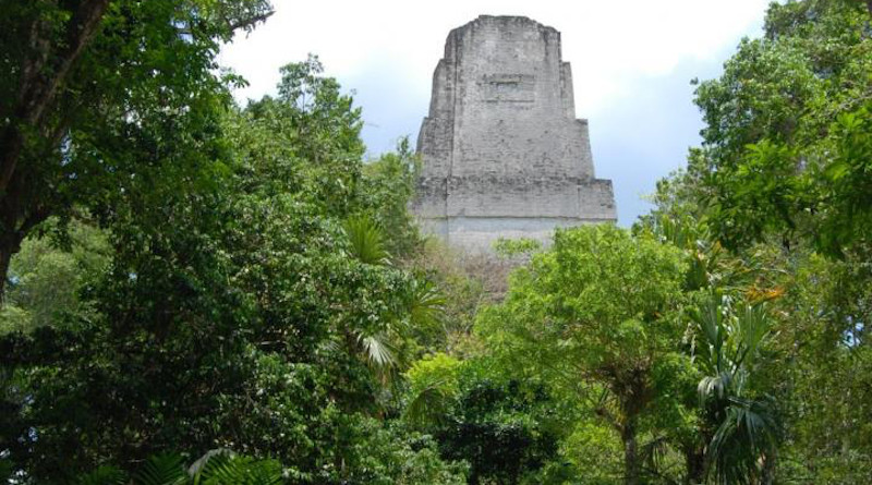 The ancient city of Tikal rises above the rainforest in northern Guatemala. CREDIT: David Lentz/UC
