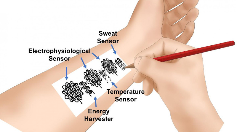 One day, people could monitor their own health conditions by simply picking up a pencil and drawing a bioelectronic device on their skin. In a new study, University of Missouri engineers demonstrated that the simple combination of pencils and paper could be used to create devices that might be used to monitor personal health. CREDIT: University of Missouri