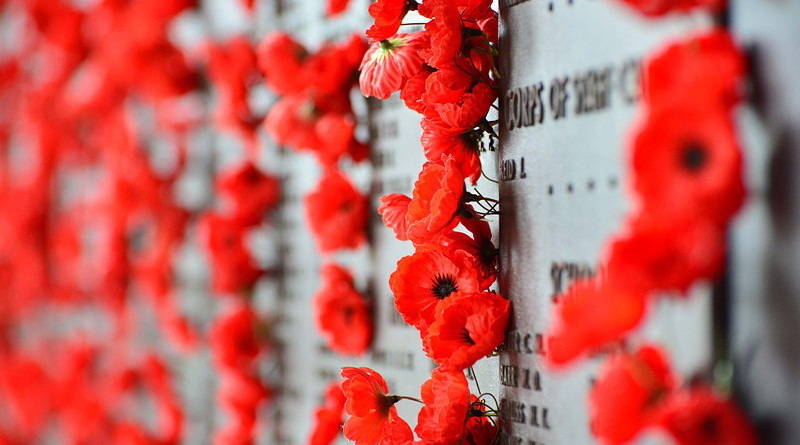 Australia War Memorial Canberra Poppies Memorial War