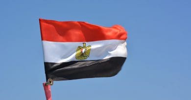 Flag Egypt Wind