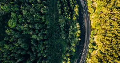 Forest Road Drone Aerial Trip Travel Poland Europe